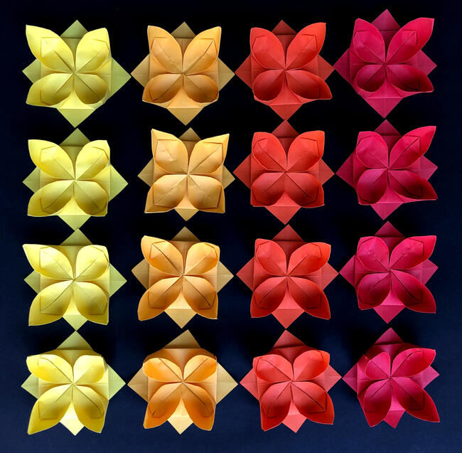 Lotus