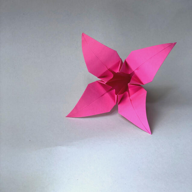 Flower Lily