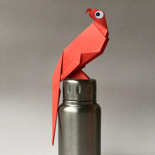 Parrot