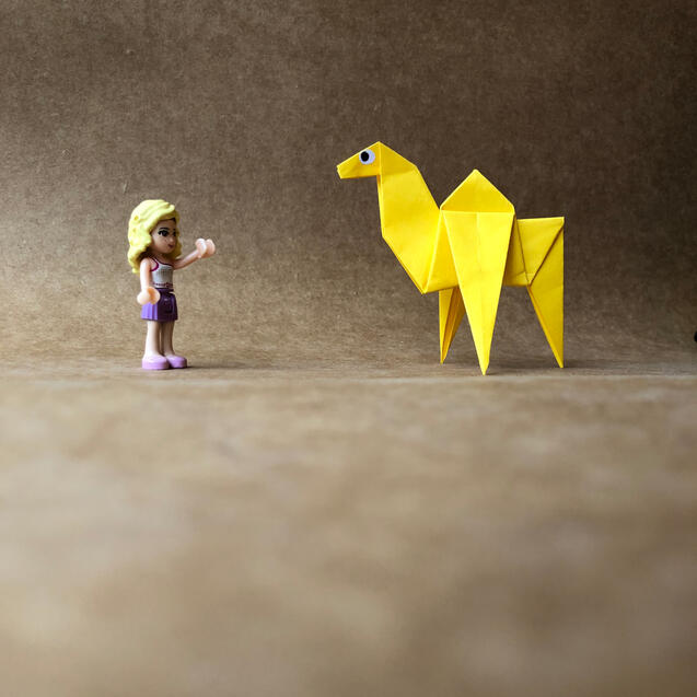 Camel