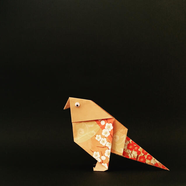 Sparrow