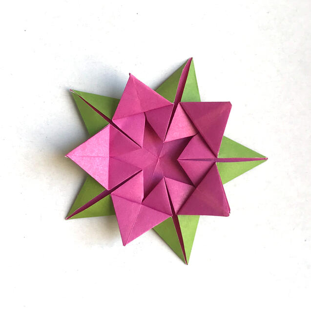 Star Lotus