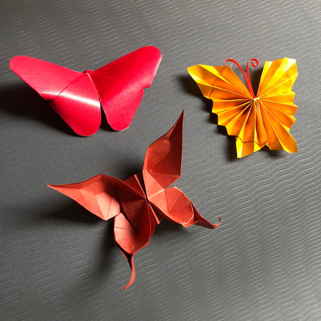 Butterflies
