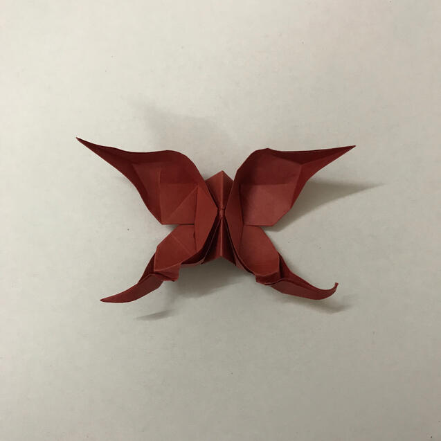 Butterfly 1