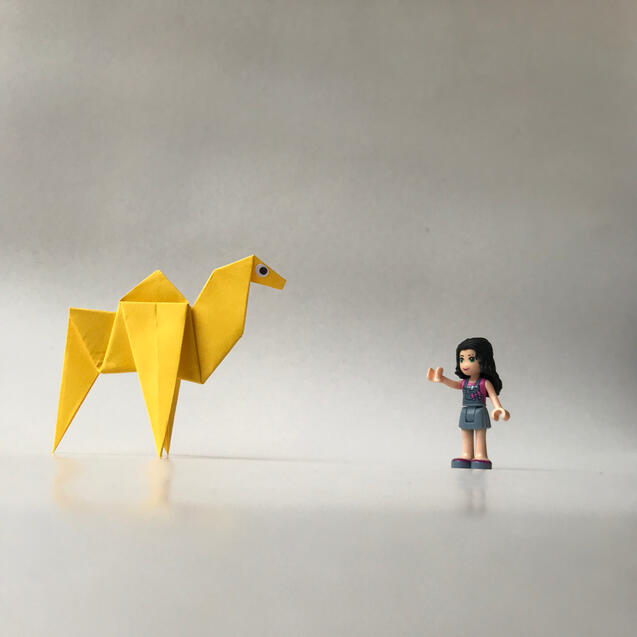 Camel
